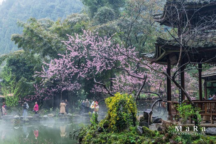 未知的岛屿